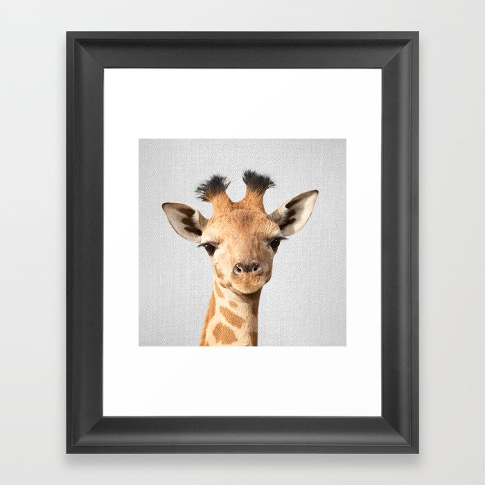Baby Giraffe - Colorful Framed Art Print