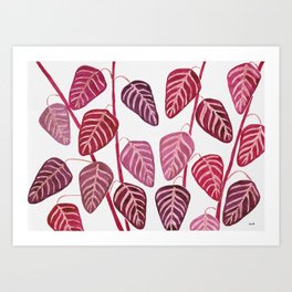 Watercolour Tropical Smoke Bush Leaves Art Print | Painting, Plant, Burgundy, Tree, Maroon, Shrub, Watercolor, Spurge, Sarahheal, Quirky 