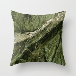 Marble Rain Forest Green Throw Pillow