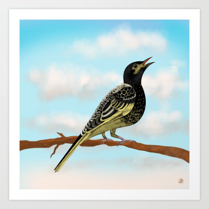 The Regent Honeyeater - Australian Precious Bird Art Print