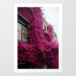 San Francisco Flower House Art Print