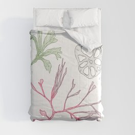 Seaweed and Lotus Root Comforter
