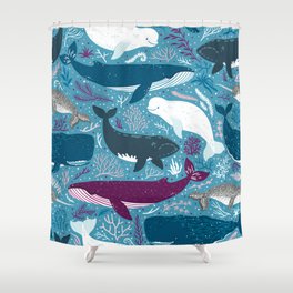 Seamless pattern with whales Shower Curtain