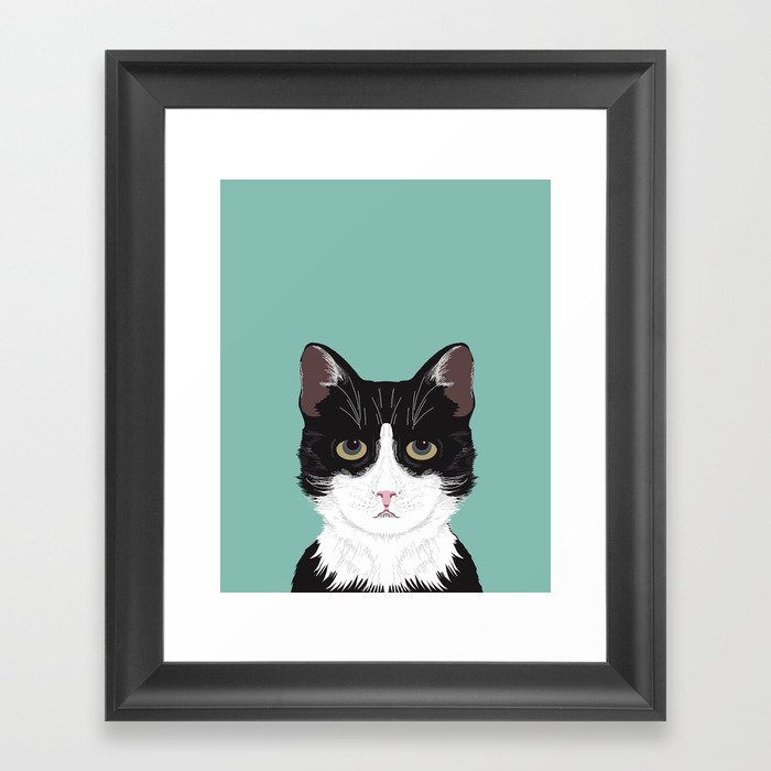 Quinn - Cute black and white cat tuxedo cat gifts for cat lady