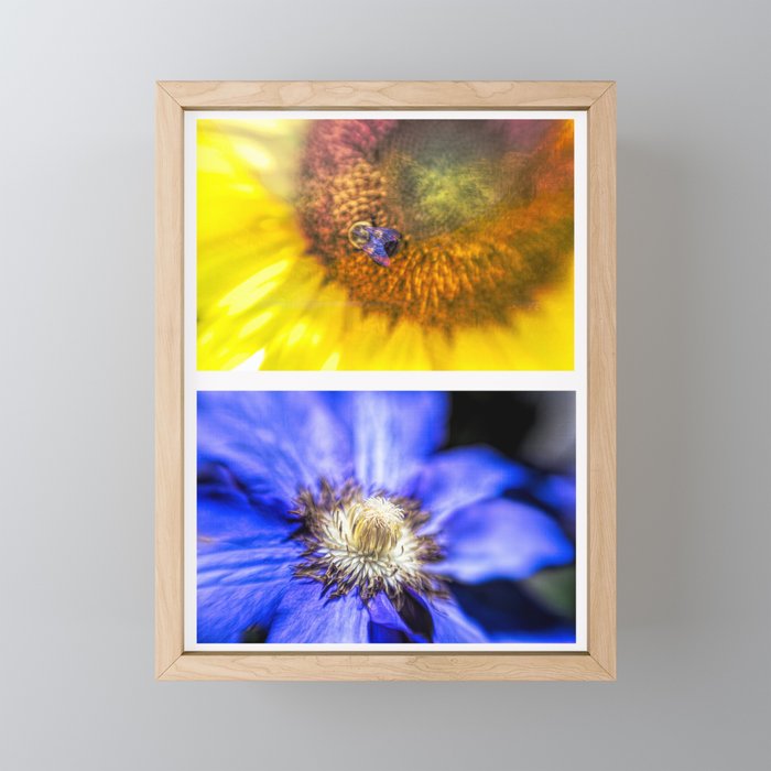 Grid of Two Colorful Flowers Framed Mini Art Print