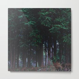 The Forest Metal Print | Darksky, Woods, Branches, Night, Forest, Cool, Natural, Pine, Eerie, Photo 