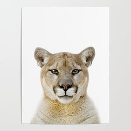 Cougar Art Print by Zouzounio Art Poster