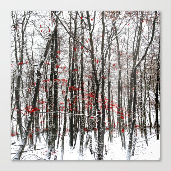 winter forest Canvas Print