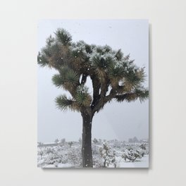 Snow Day In Joshua Tree Metal Print