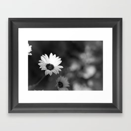 White Flowers Framed Art Print