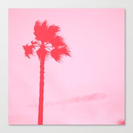 Palm tree Canvas Print