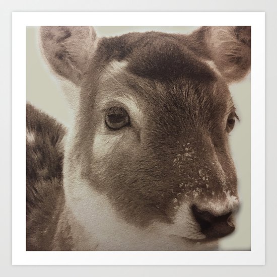 Deer Art Print