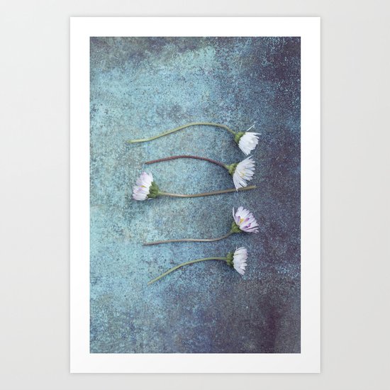 Daisies in a row Art Print