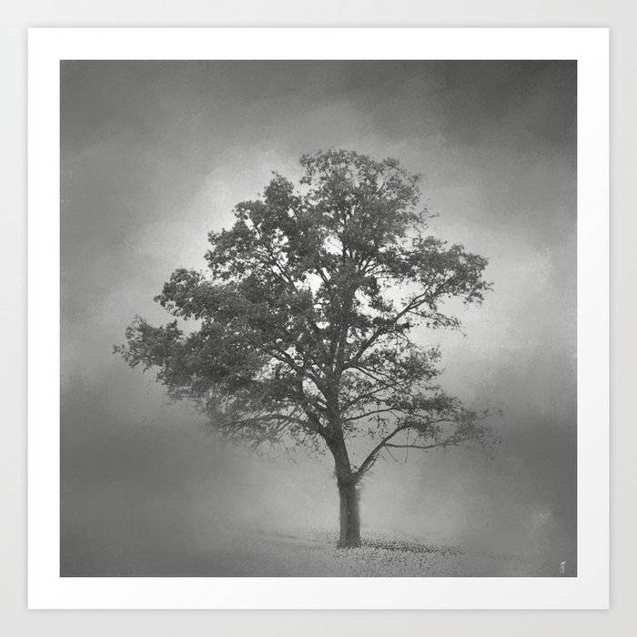 Gray Mist Cotton Field Tree Landscape Art Print
