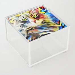 Colorful bright cat green blue red gray Acrylic Box