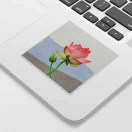 Blooming peach lotus 1 Sticker
