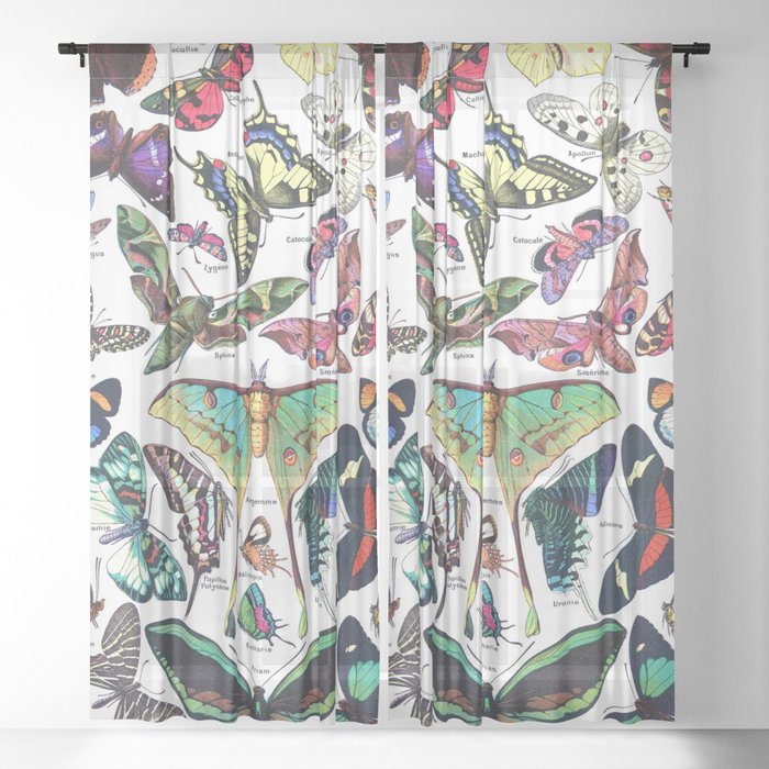 Sheer Curtain