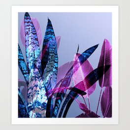 Strelizia & Snake Plant Leaves blue Violet abstract Design Art Print