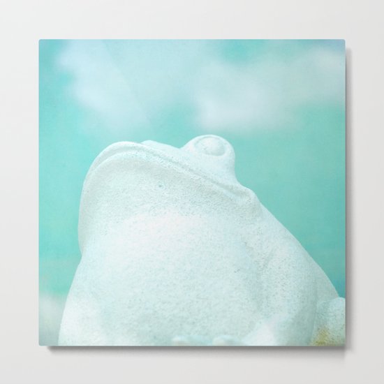 Frog and Clouds Metal Print