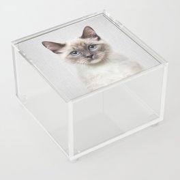 Cat - Colorful Acrylic Box