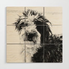black and white photo of sheepadoodle Wood Wall Art