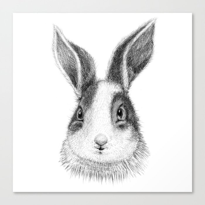 Rabbit Canvas Print