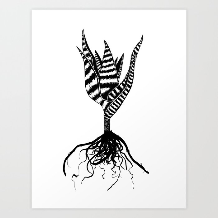 Aloe Plant With Roots Art Print By Dktorode Society6 Check out our plant with roots selection for the very best in unique or custom, handmade pieces from our shops. aloe plant with roots art print by dktorode