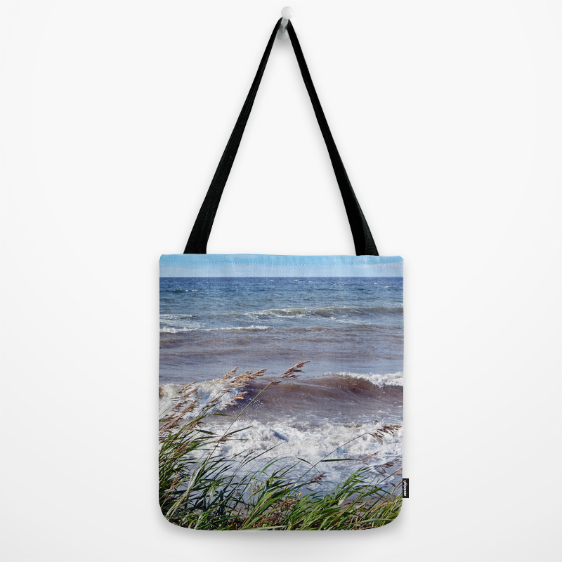 rolling beach bag