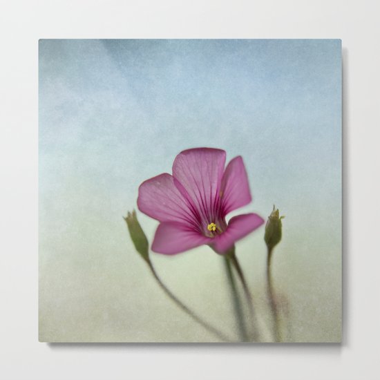 Happy lil Flower Metal Print