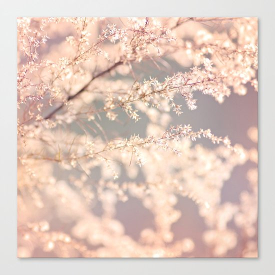 Delicate Flowers Canvas Print
