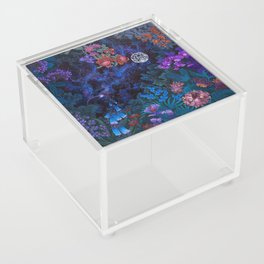 Space Garden Cosmos Acrylic Box