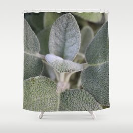 Sage Shower Curtain | Nature, Plant, Spices, Natural, Lavender, Food, Thyme, Flowers, Seasoning, Flowering 
