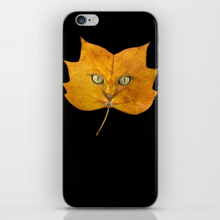 Autumn Cat-2 iPhone Skin