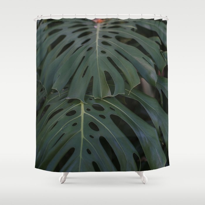 Moody Monstera Shower Curtain