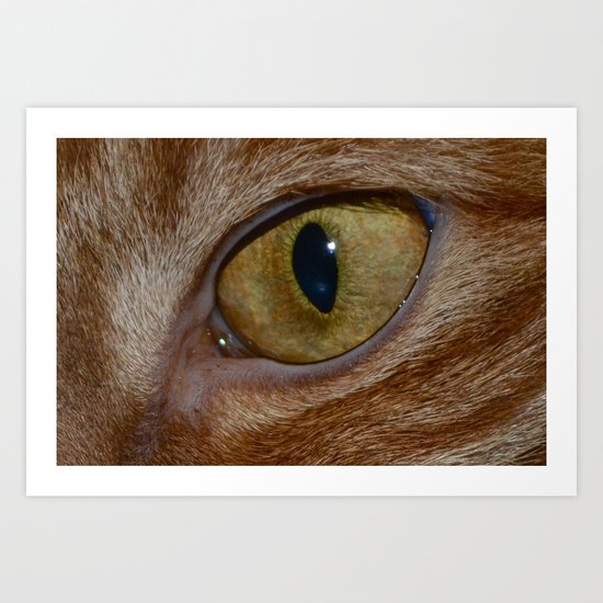 Cat Eye Art Print