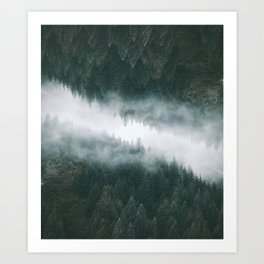 Forest Reflections II Art Print