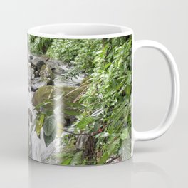 Smaller stream - Caimitillo river in upper El Yunque rainforest PR Coffee Mug
