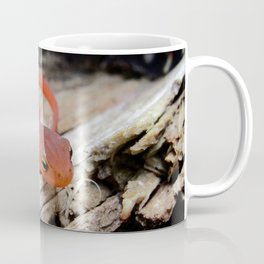 The Charismatic Newt Coffee Mug | Wildlife, Woods, Orange, Nature, Biology, Digital, Microcosms, Red, Color, Amphibian 