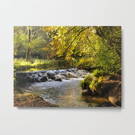 Sunny forest landscape Metal Print | Irelandscenery, Forestdesign, Beautifulforest, Mysticalforest, Waterfall, Northernireland, Riverireland, Lissanforest, Stream, Irishlandscape 