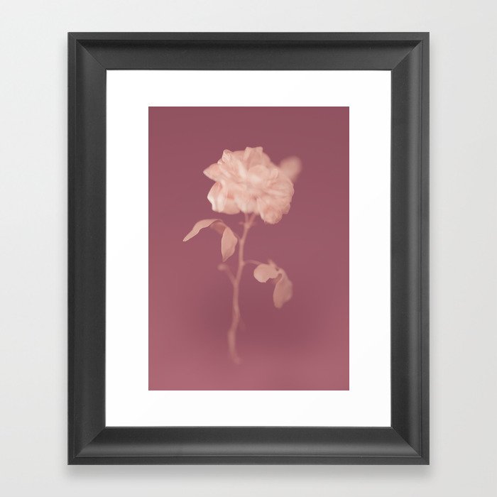 Rose Modern Floral Art Print Framed Art Print