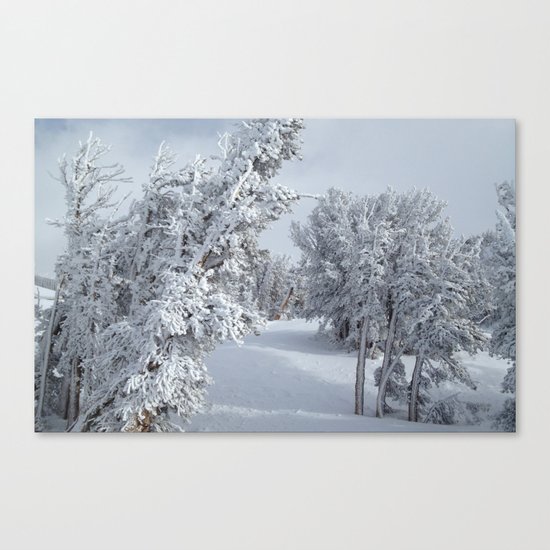Snow Canvas Print