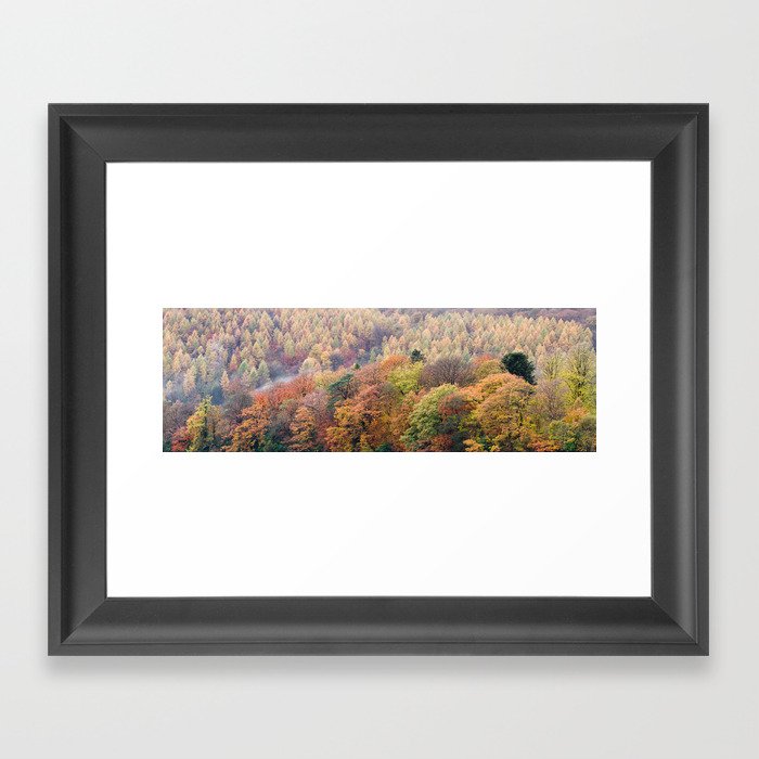 Autumn Trees Panorama Framed Art Print