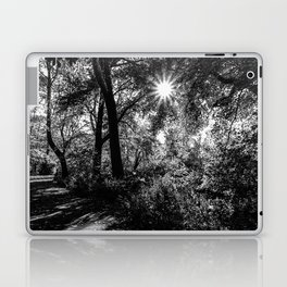 Autumn Fall in Central Park in New York City black and white Laptop Skin