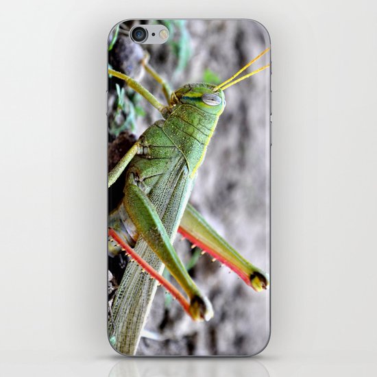Plague iPhone & iPod Skin