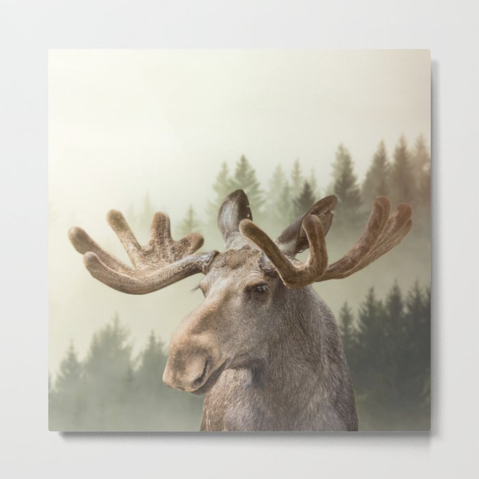 Moose Metal Print