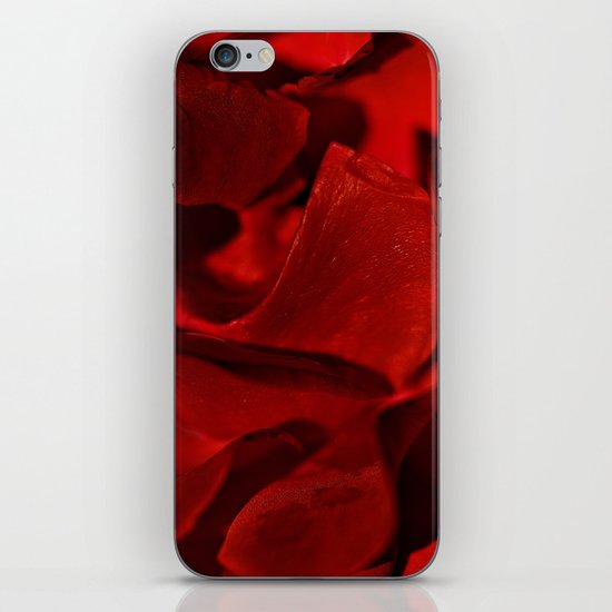 Red rose close up iPhone & iPod Skin