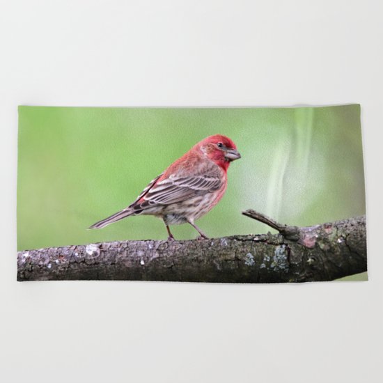 Fancy Finch Beach Towel