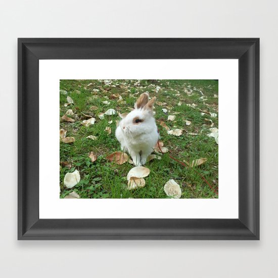Spring of rabbit Framed Art Print