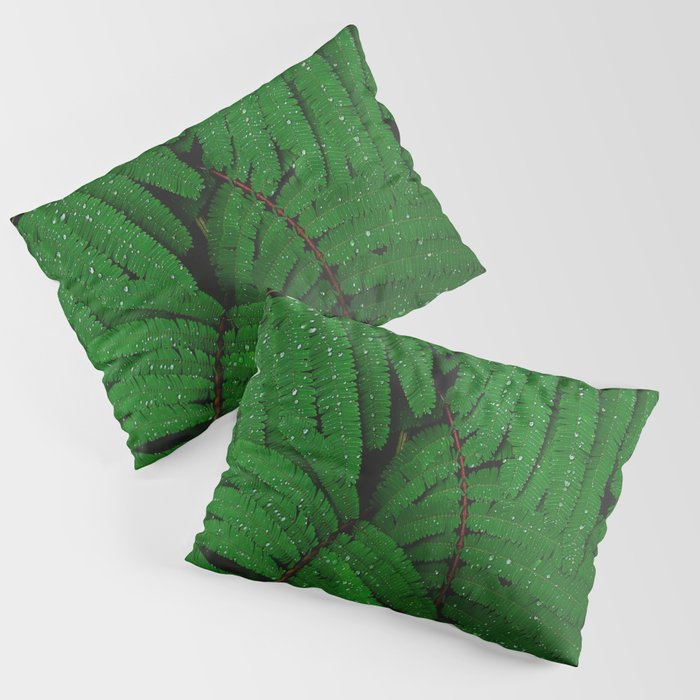 Layers Of Wet Green Fern Leaves Patterns In Nature Pillow Sham