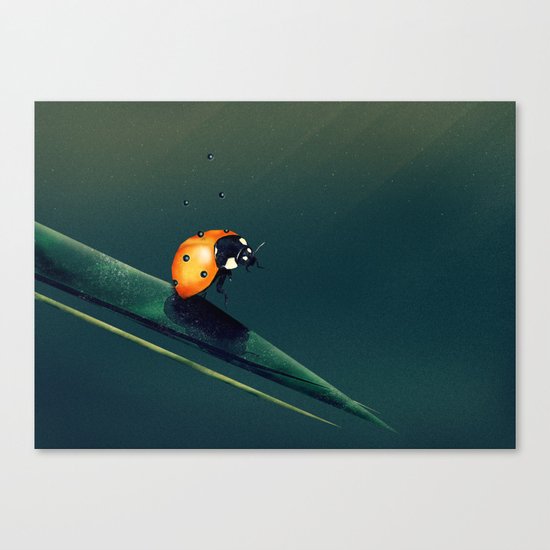 Oh, Bugger... Canvas Print